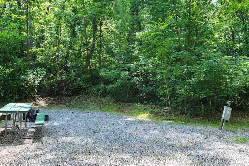 Standard RV/Tent Site-4